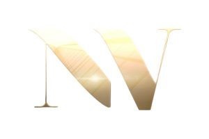 logotipo do Studio Narjara Vieira
