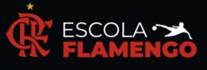 melhores escolinhas de futebol - logotipo da Escolinha de Futebol do Flamengo