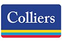 melhores imobiliárias do Brasil - logotipo da Colliers International