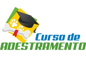 O Curso de Adestramento tem os melhores treinadores de cães do Brasil