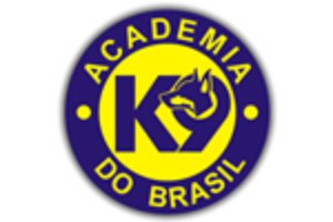 Adestramento de cães em Curitiba graças à Academia K9