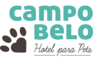 No Campo Belo, encontra-se um dos melhores hotéis para cães, que combina conforto e atenção especializada.