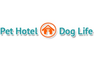 O Pet Hotel Dog Life integra a lista dos melhores hotéis para cães, proporcionando conforto e atenção personalizada