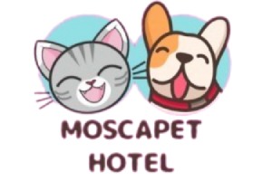 O MoscaPet Hotel é um dos melhores hotéis para cães, reconhecido por sua estrutura sofisticada e atendimento dedicado.