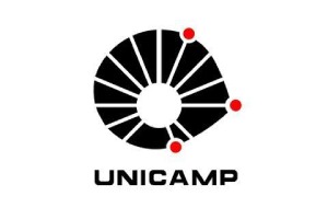 Universidade Estadual de Campinas (UNICAMP)